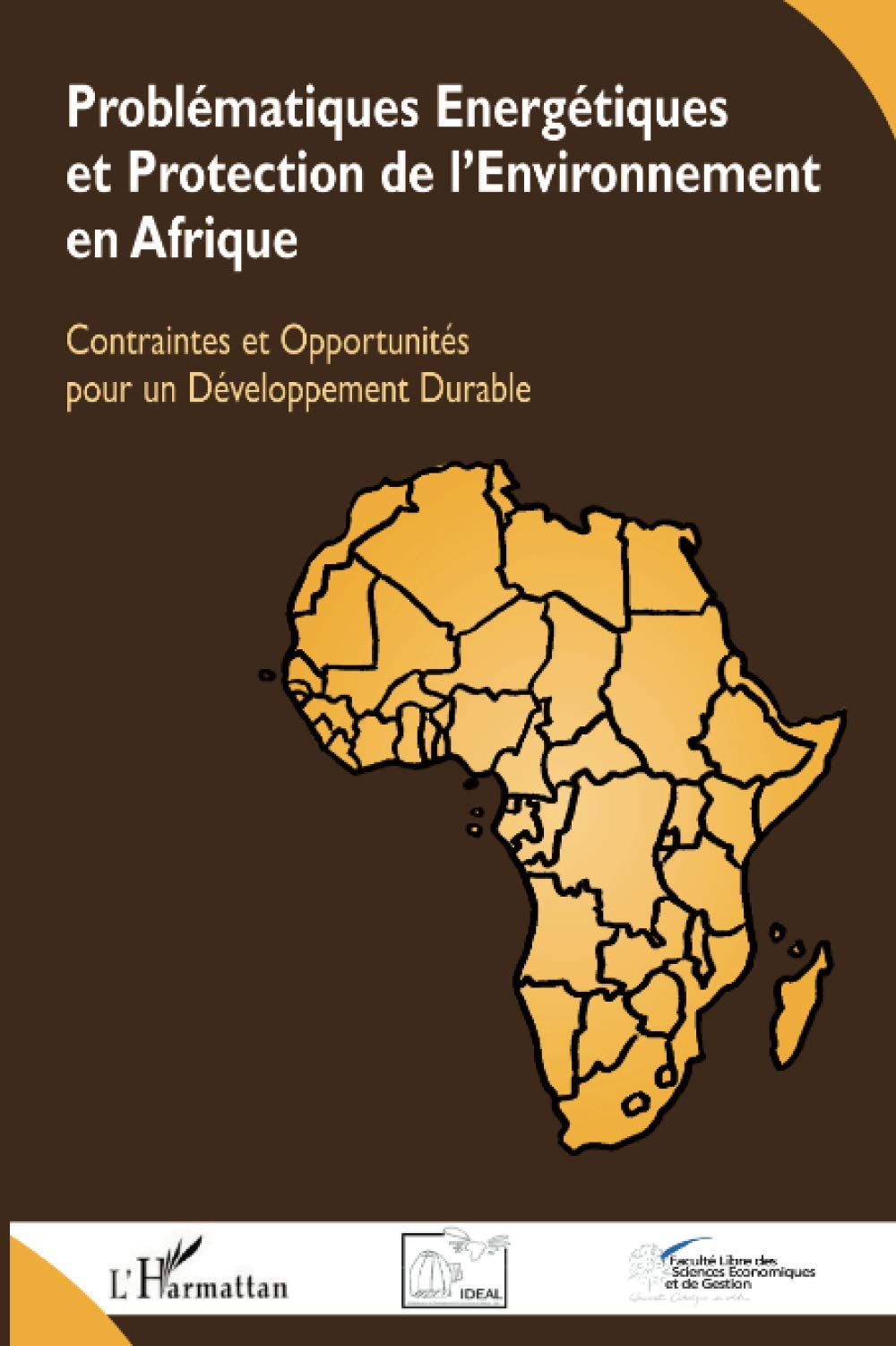 Problématiques Energétiques et Protection de l'Environnement en Afrique: Contraintes et Opportunités pour un Développement Durable 9782296057678