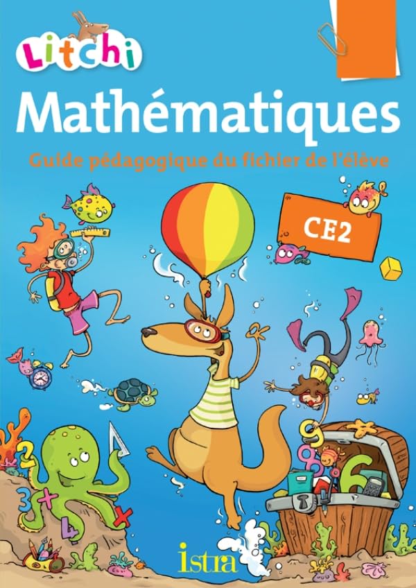 Litchi Mathématiques CE2 - Guide pédagogique du fichier - Edition 2013 9782011176417