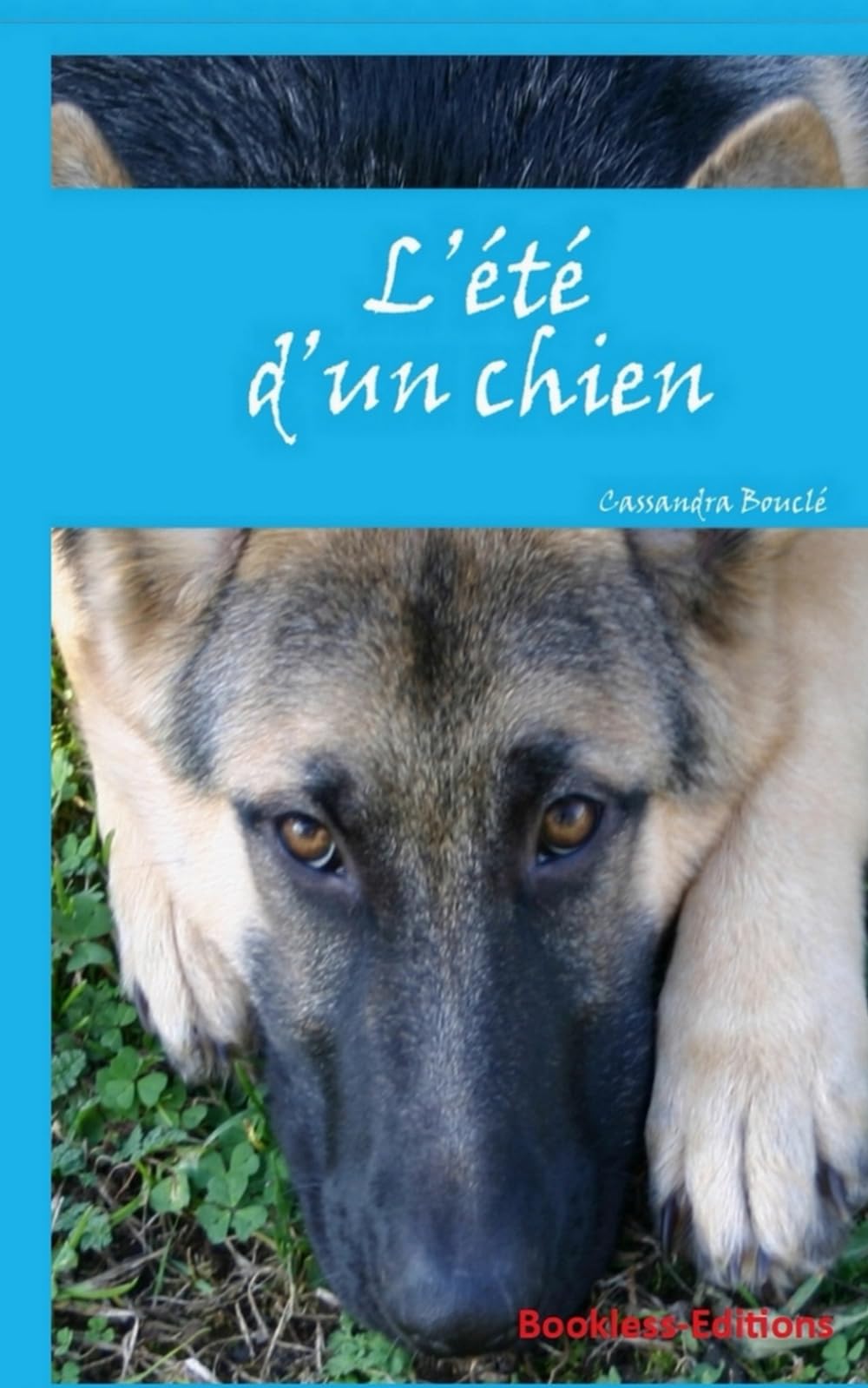 L'été d'un chien 9782372224703