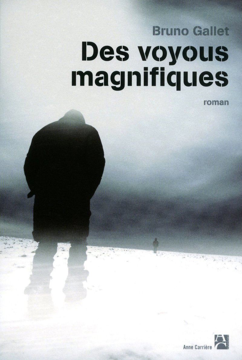 Des voyous magnifiques 9782843376184