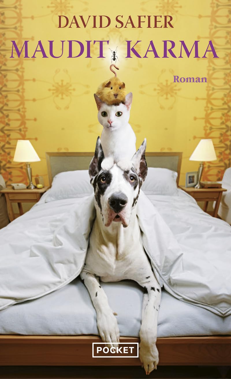 Maudit karma 9782266192392