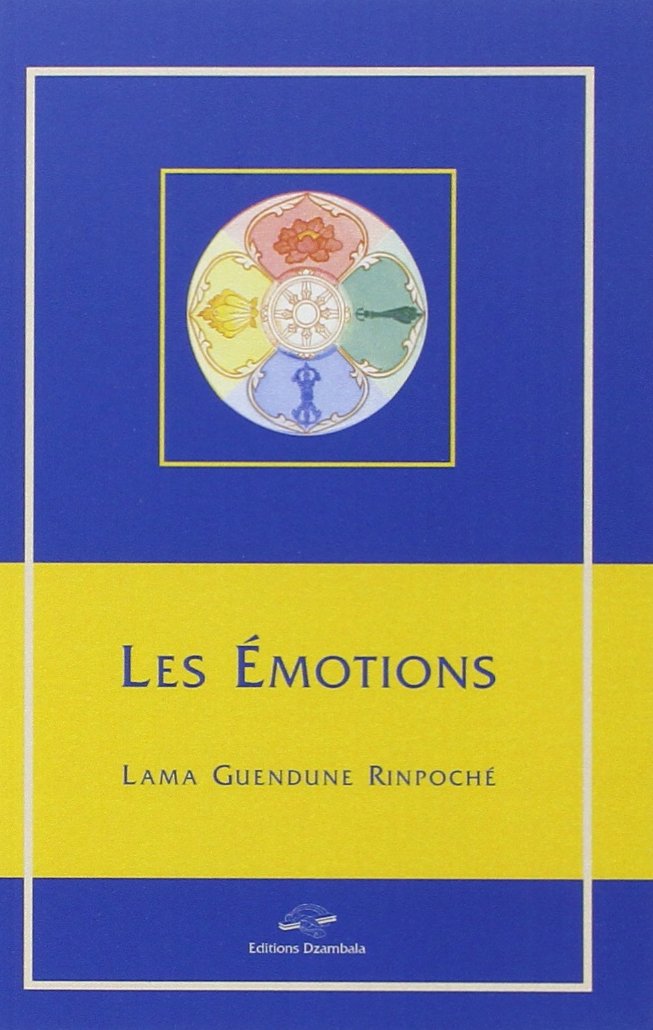 Les émotions 9782906940062