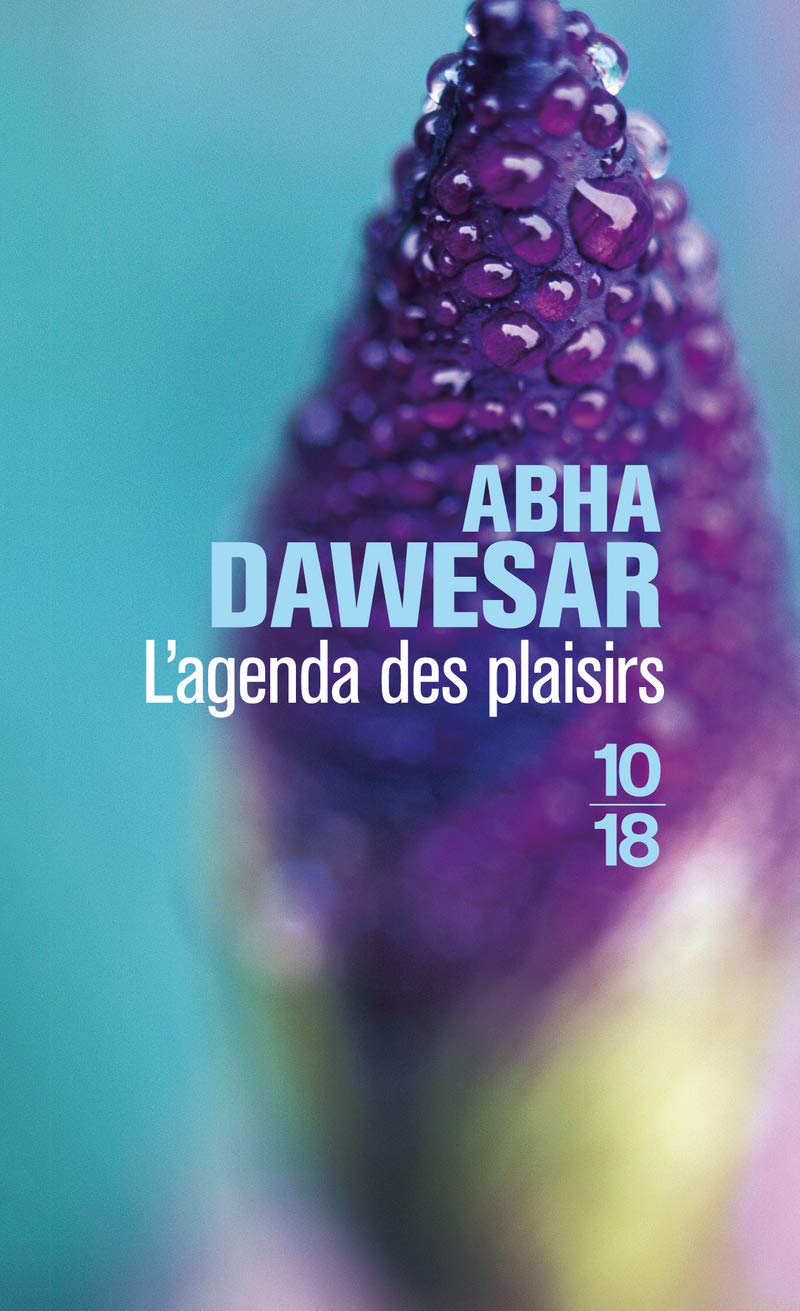 l'agenda des plaisirs 9782264058287