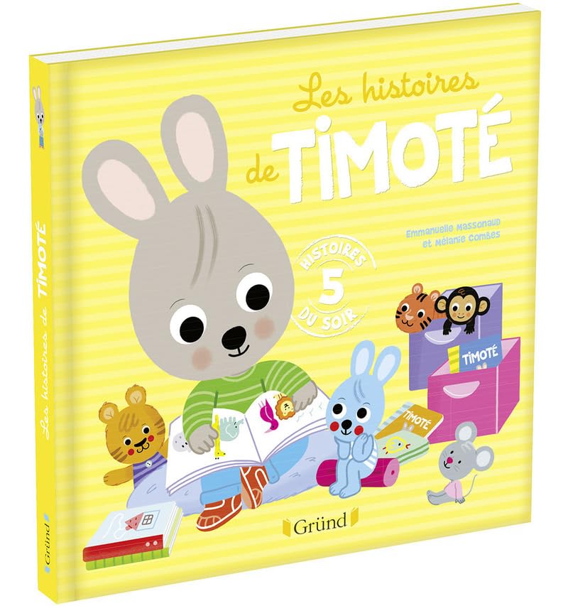 Les Histoires de Timoté – Recueil jeunesse avec 3 histoires – À partir de 2 ans 9782324020667