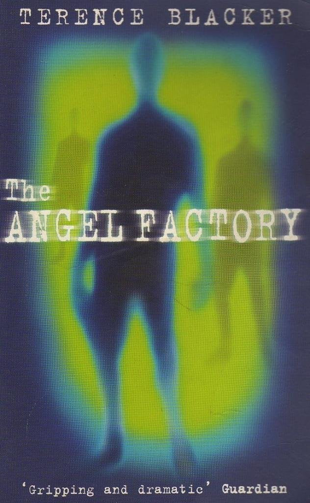 The Angel Factory 9780330480246