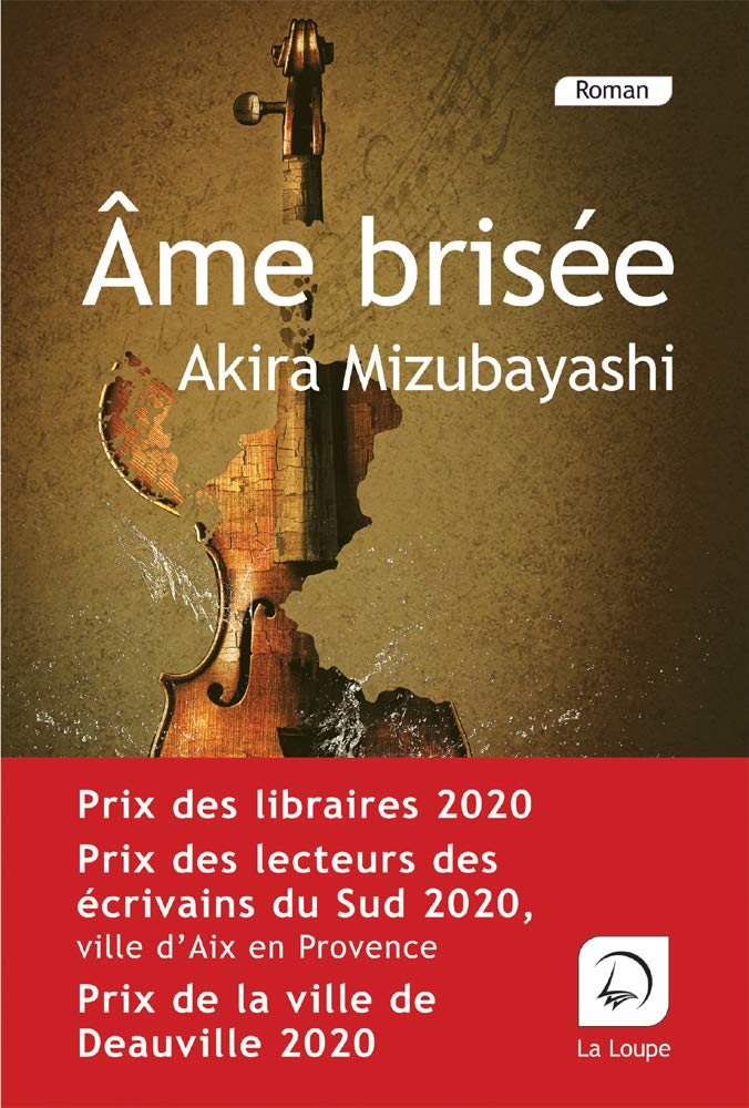 Âme brisée 9782848689289