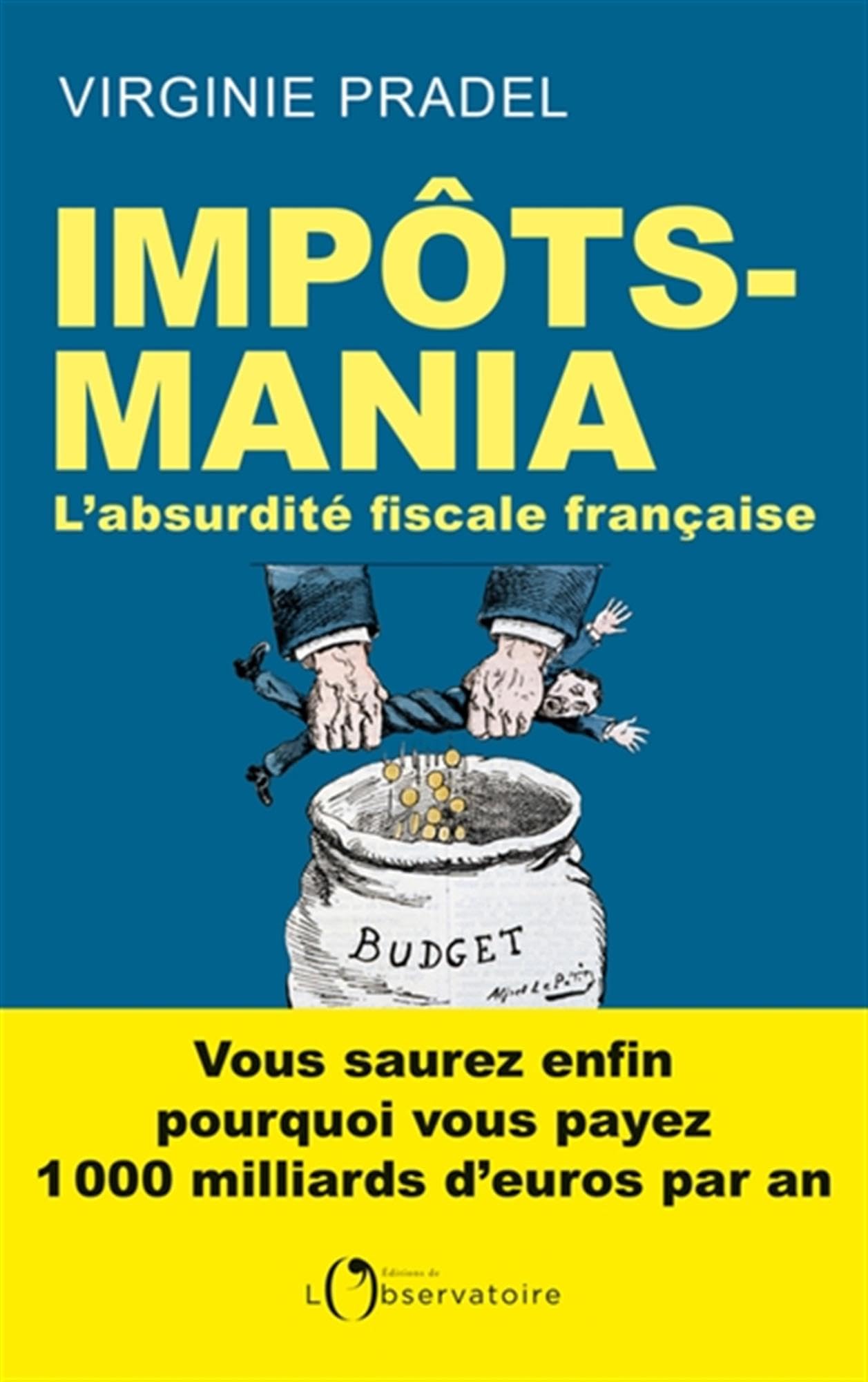 Impôts-mania: L'absurdité fiscale française 9791032906064