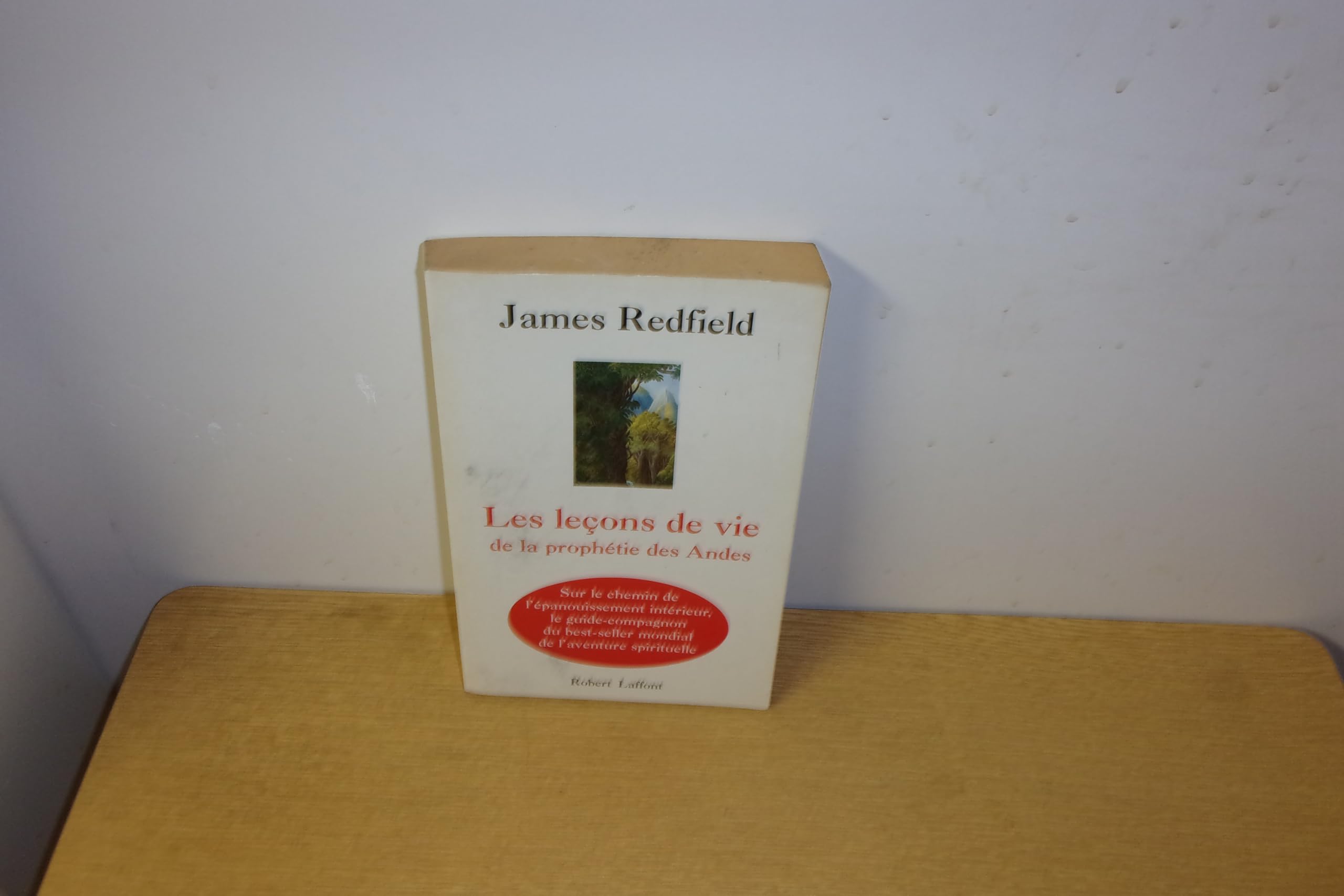 Les leçons de vie de la prophétie des Andes 9782221081808