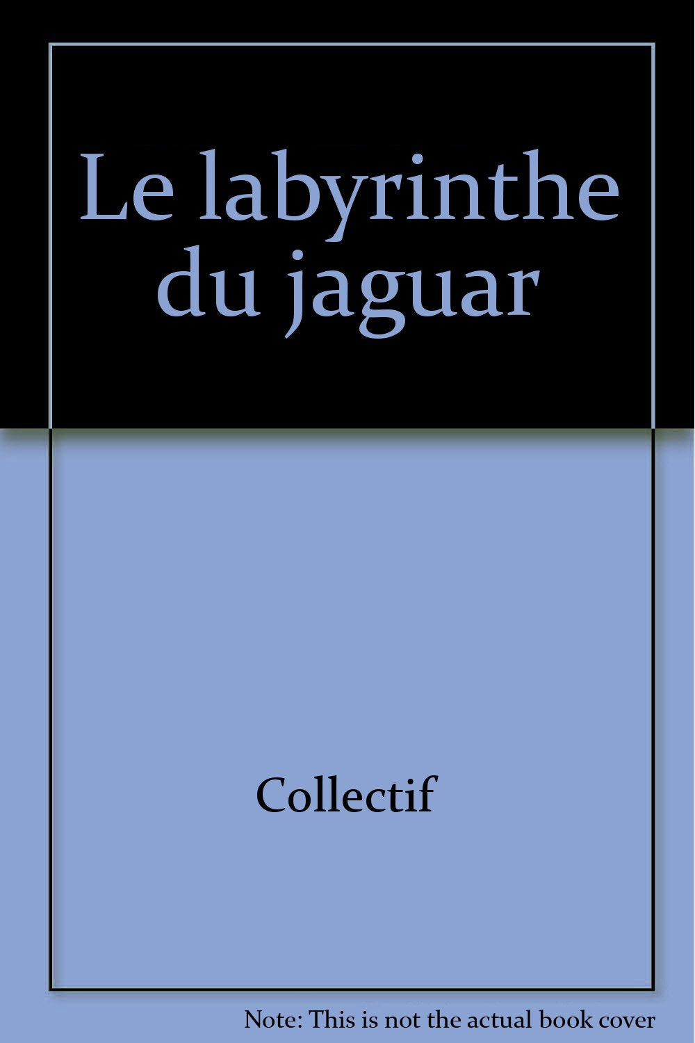 Le labyrinthe du jaguar 9782092838556