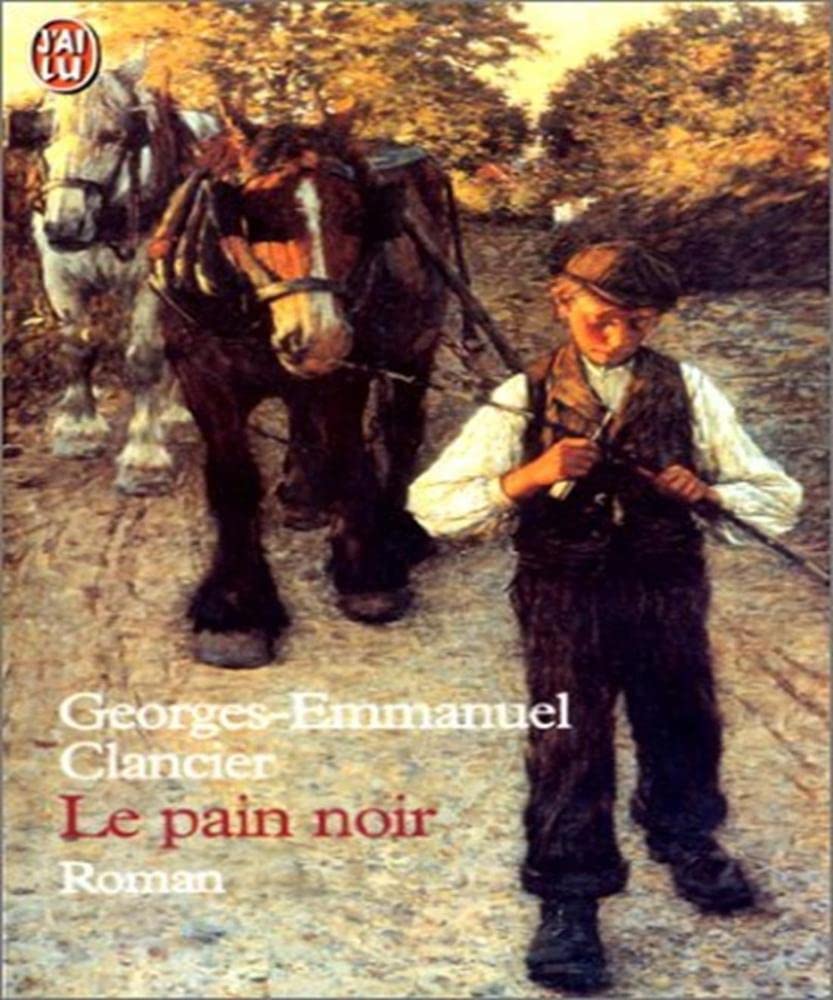 Le pain noir 9782290307946