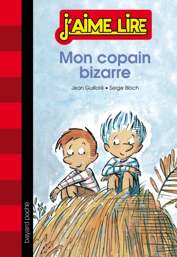 Mon copain bizarre 9782747045292