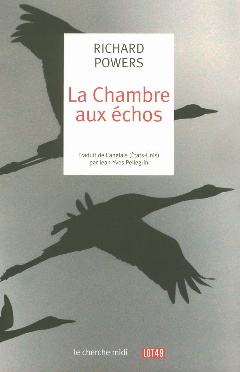 La Chambre aux échos 9782749109374