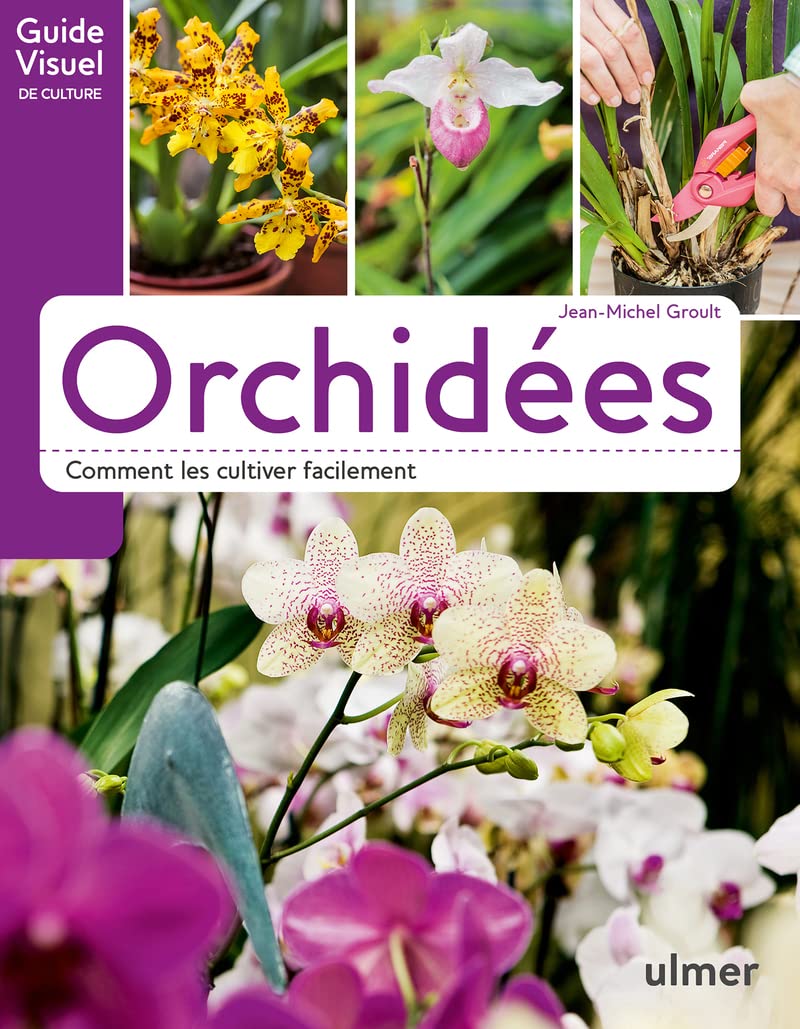 Orchidées - Comment les cultiver facilement 9782841388196