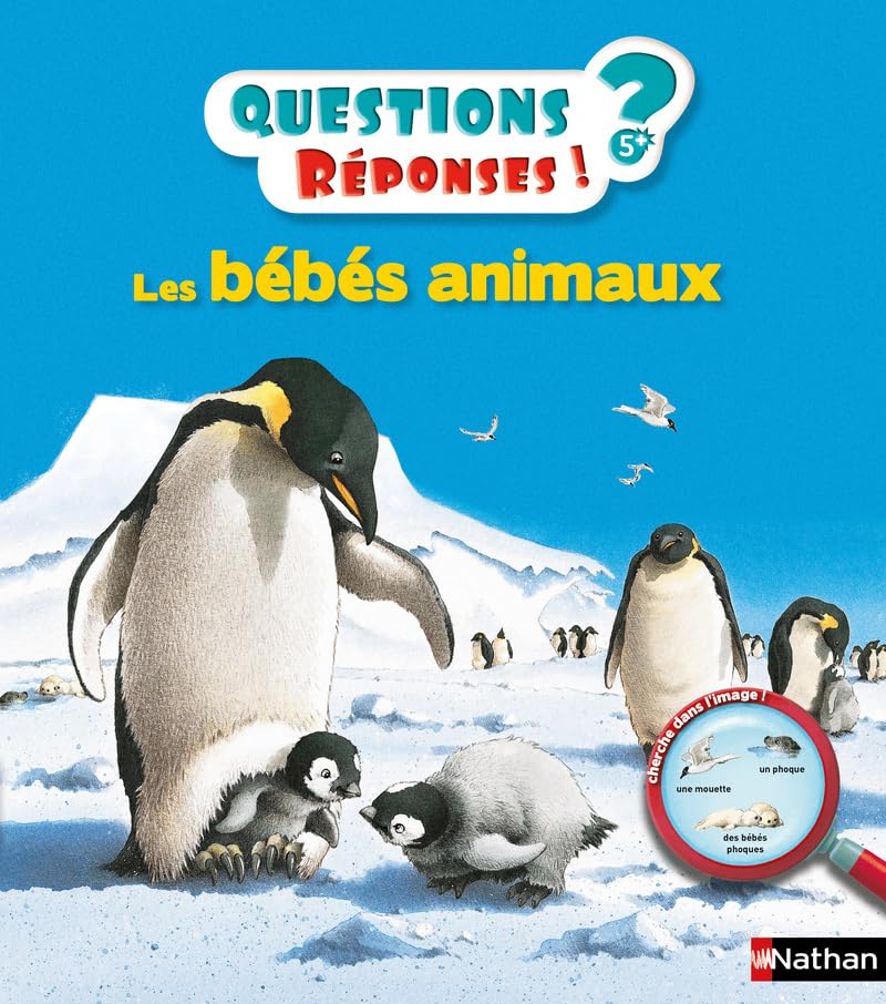 Les bébés animaux - Questions/Réponses - doc dès 5 ans (09) 9782092551851