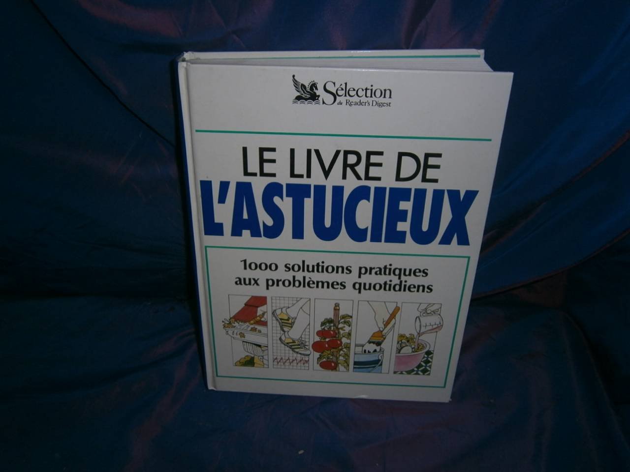 Le livre de l'astucieux 9782871010197