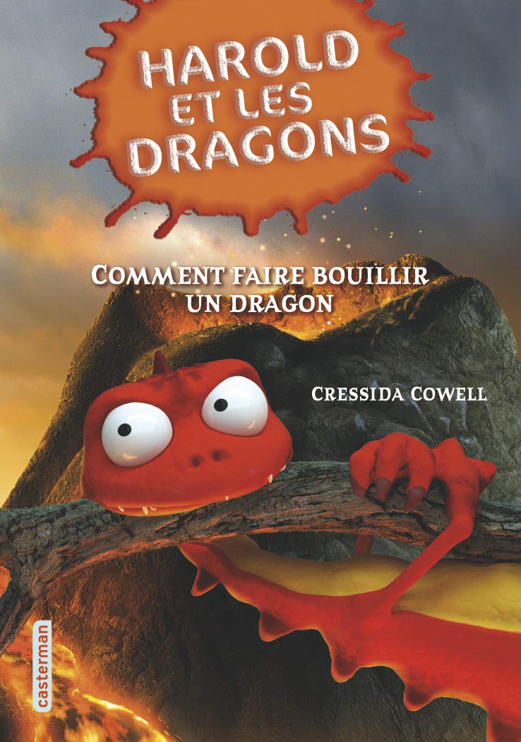 Comment faire bouillir un dragon 9782203063785