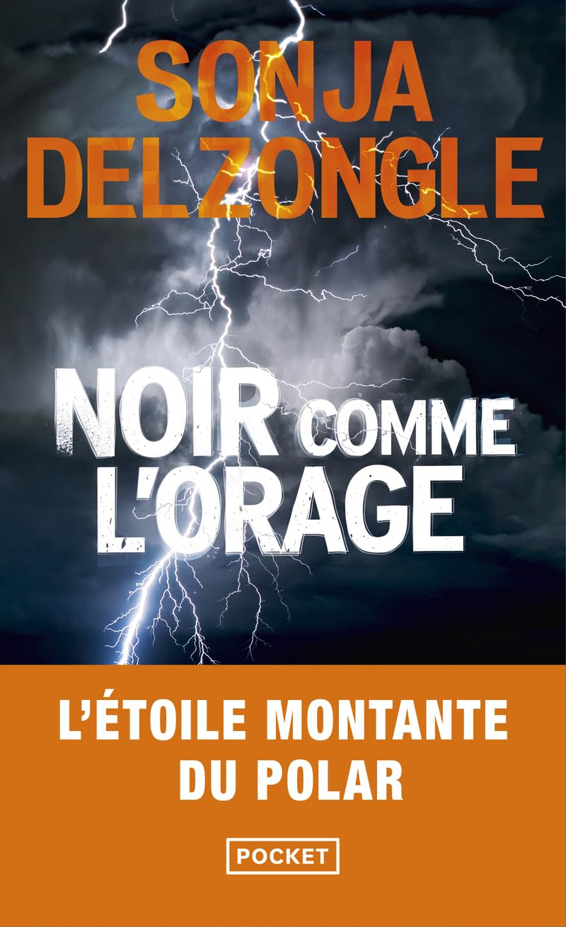 Noir comme l'orage 9782266347594