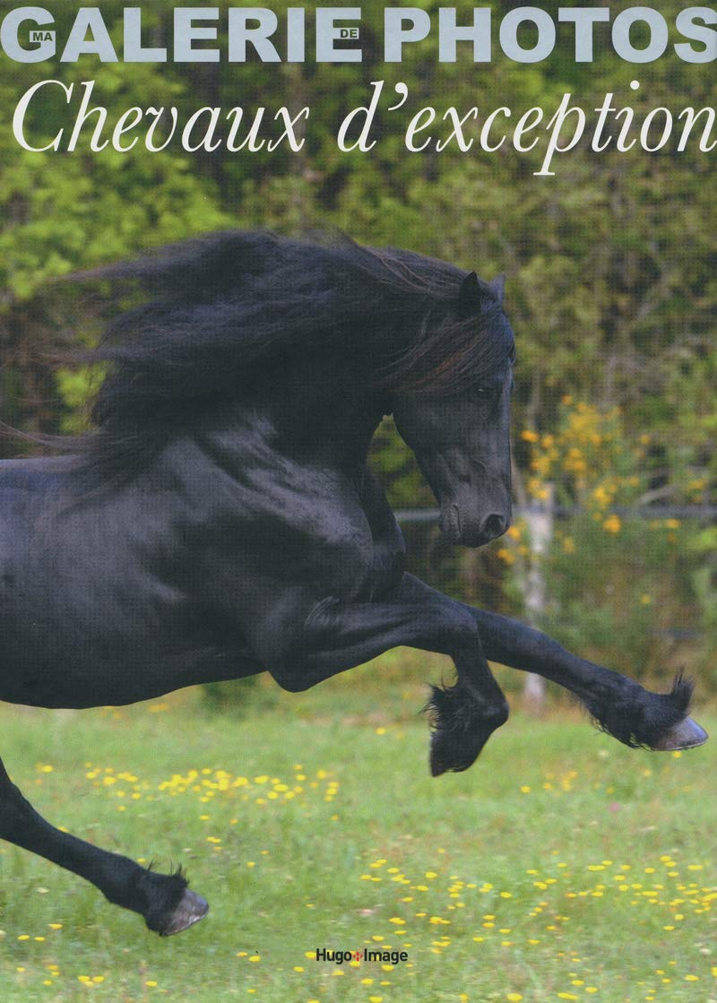 Coffret ma galerie de photos chevaux d'exception 9782755611052