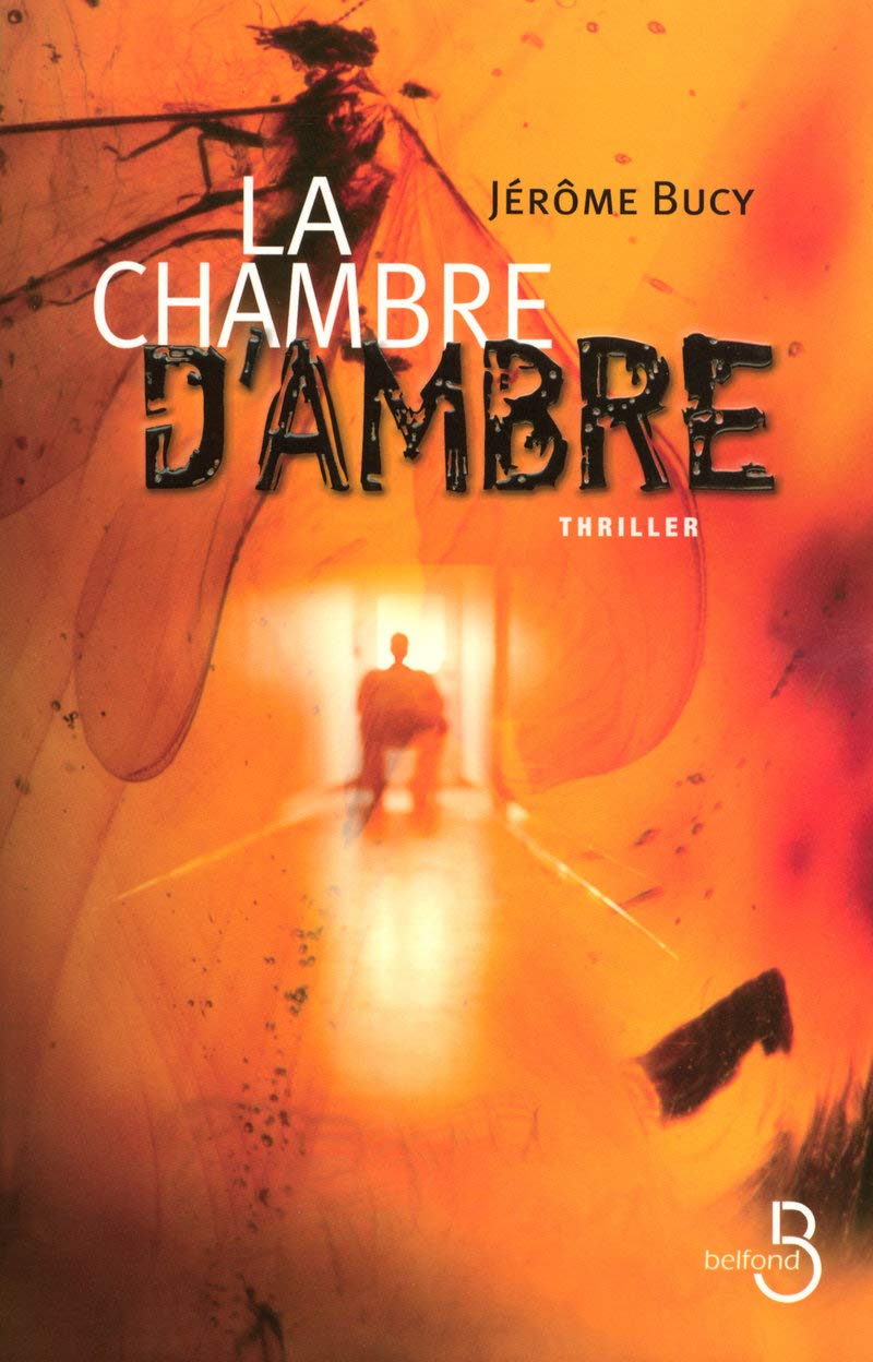 La Chambre d'ambre 9782714444912