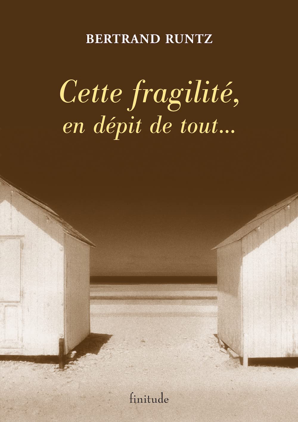 Cette fragilité, en dépit de tout... 9782912667533