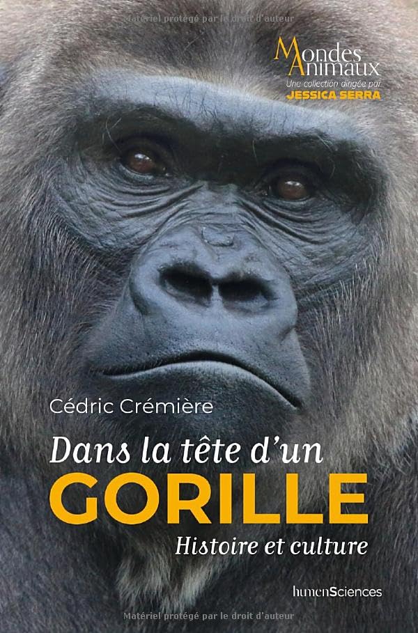 Dans la tête d'un gorille: Histoire et culture 9782379316654