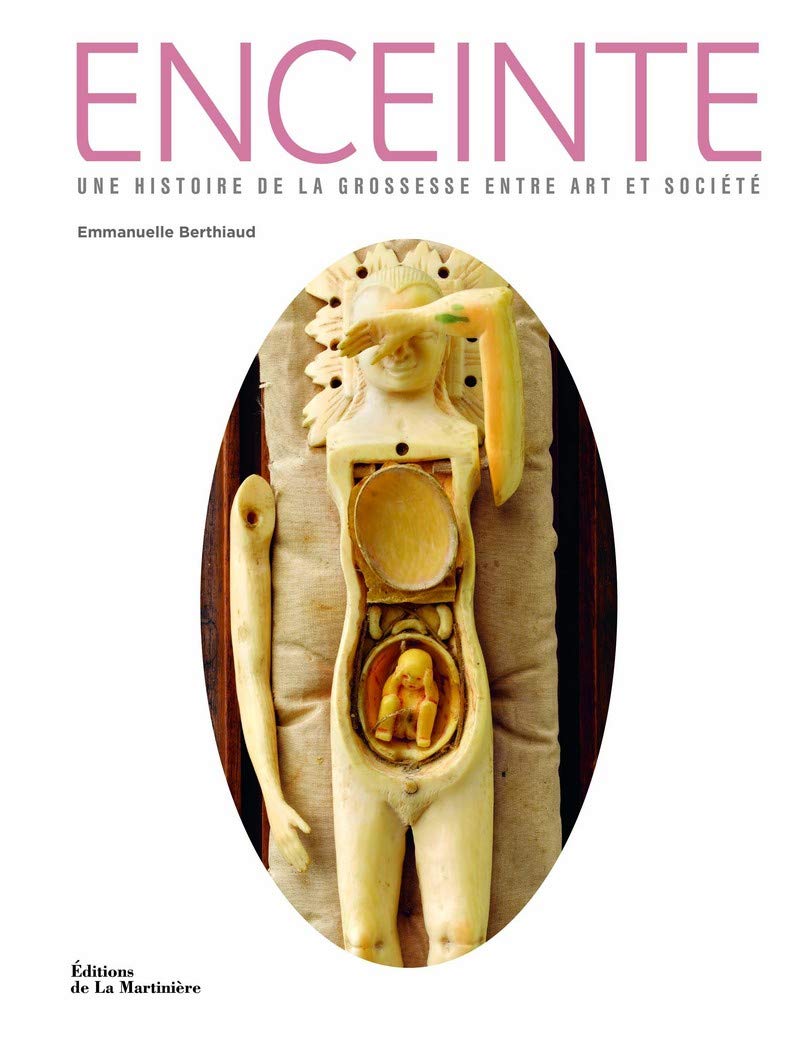 Enceinte. Une histoire de la grossesse entre art et société 9782732456300