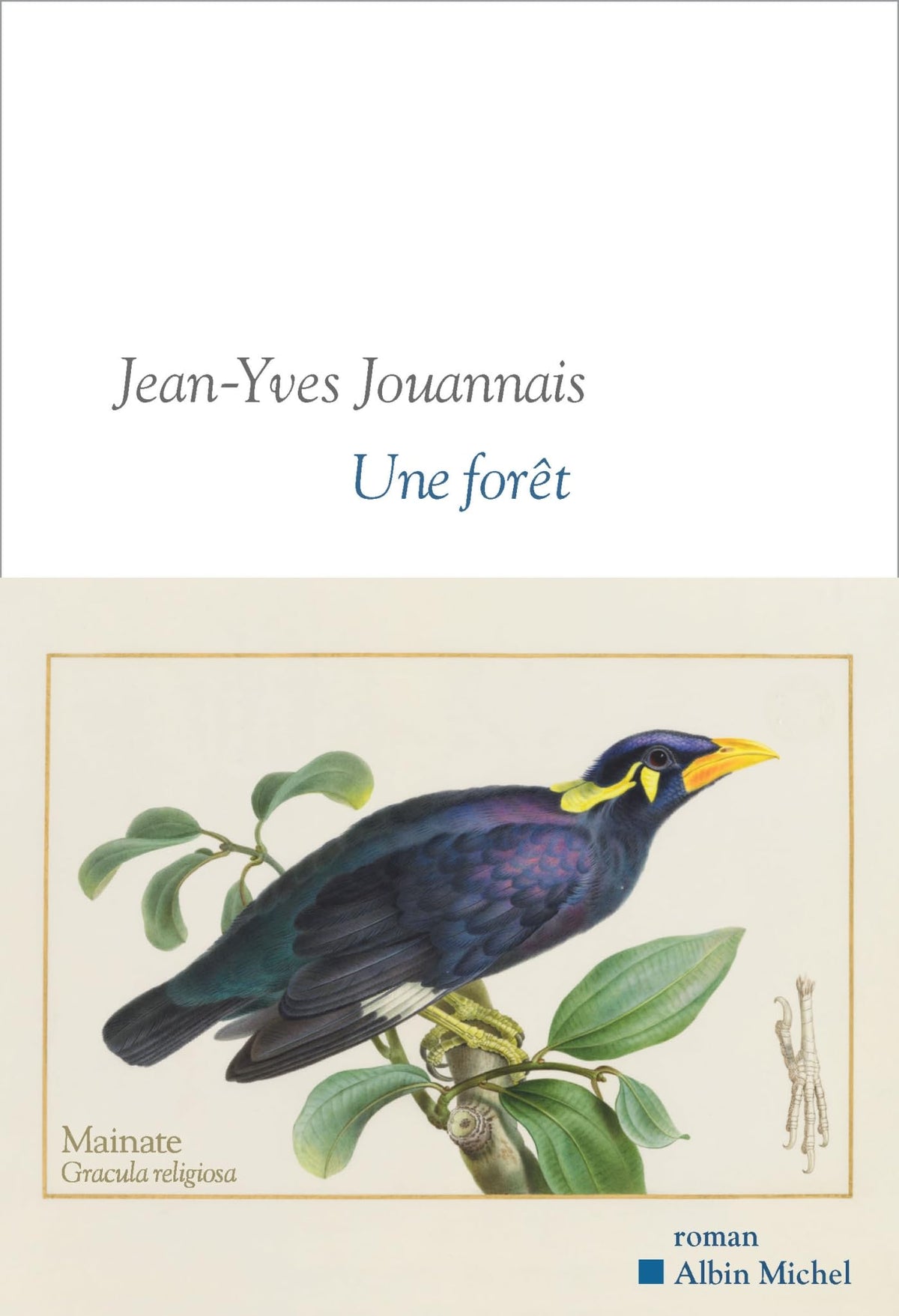 Une forêt: Sélection 1ère liste Prix Goncourt 2026 9782226499523