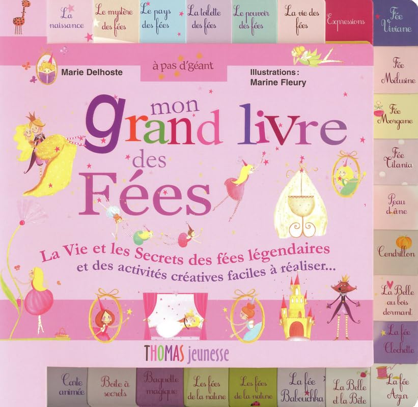 Mon grand livre des fées 9782354810313