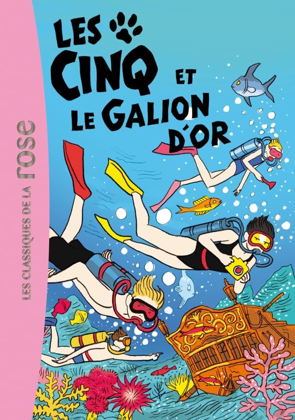 Les Cinq 28 - Les Cinq et le Galion d'or 9782012029118