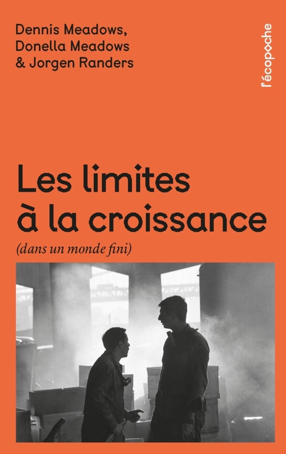 Les limites à la croissance (dans un monde fini): Le rapport Meadows, 30 ans après 9782374250748