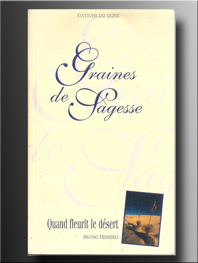 Quand fleurit le désert 9782746801349