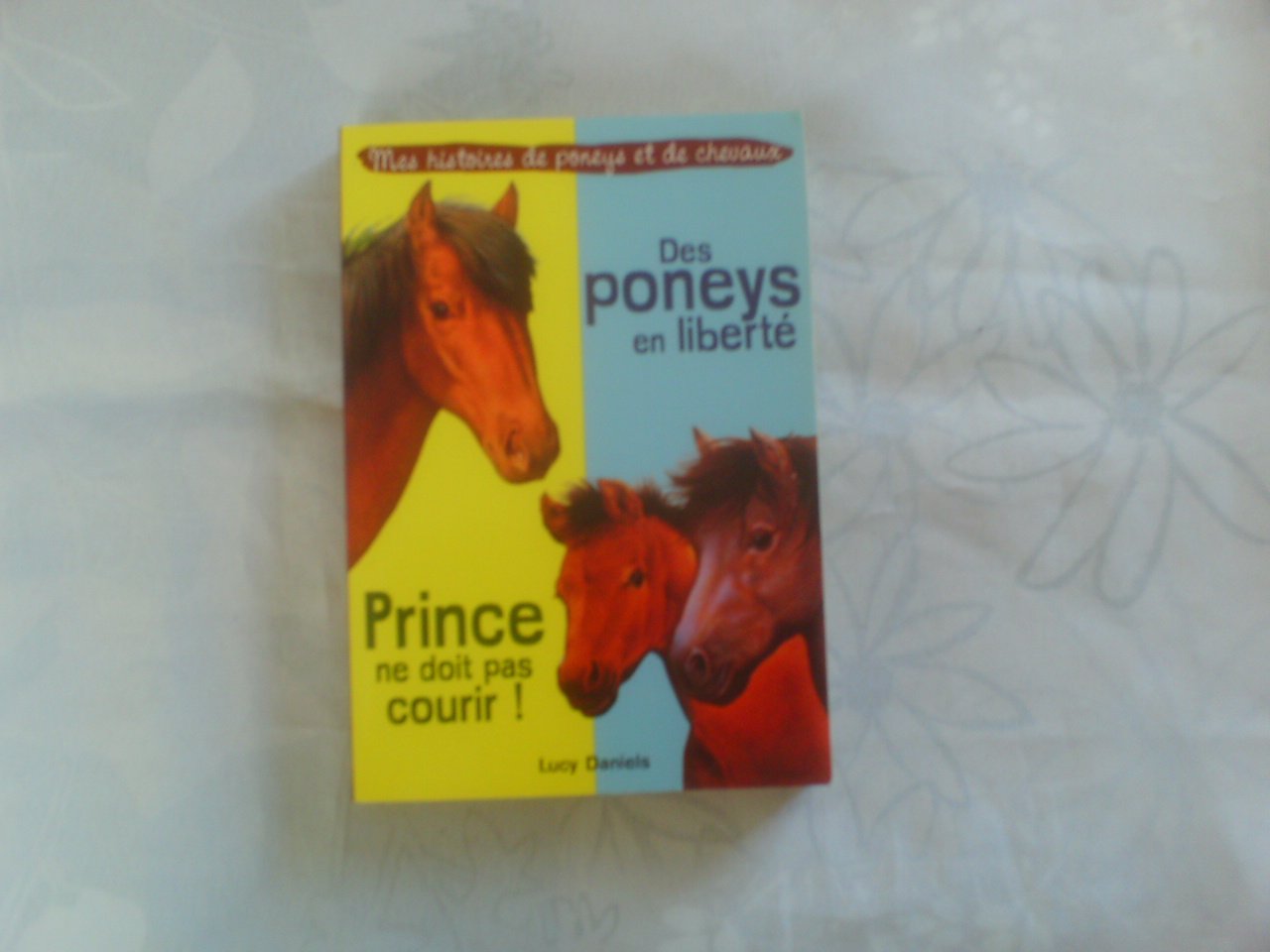 des poneys en liberté et Prince ne doit pas courir 9782298014945