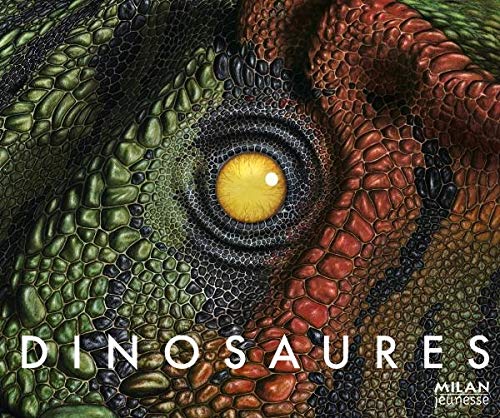 Dinosaures 9782745935328