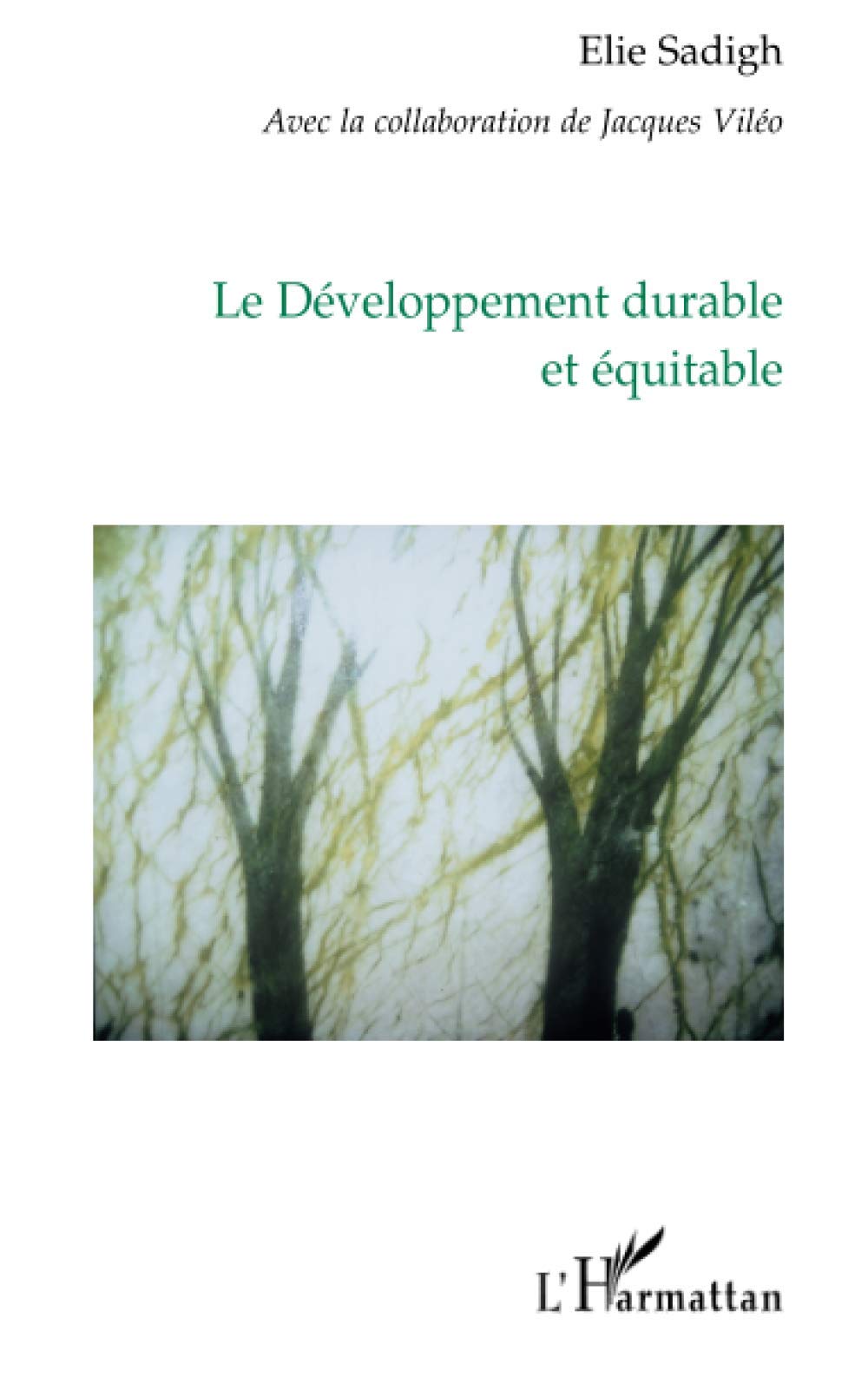 Le développement durable et équitable 9782296066182