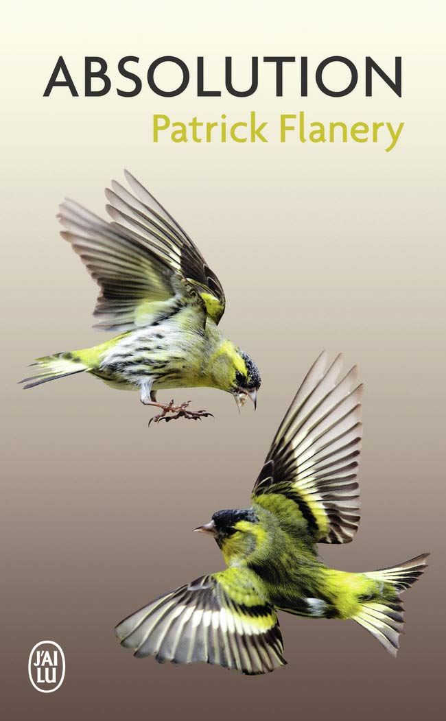 Absolution 9782290094518