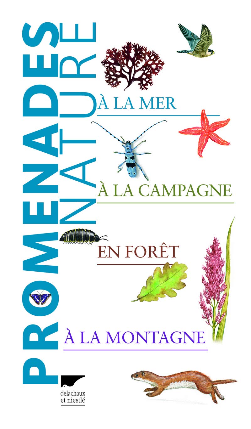 Promenades nature: ...à la mer, à la campagne, en forêt, à la montagne 9782603019825