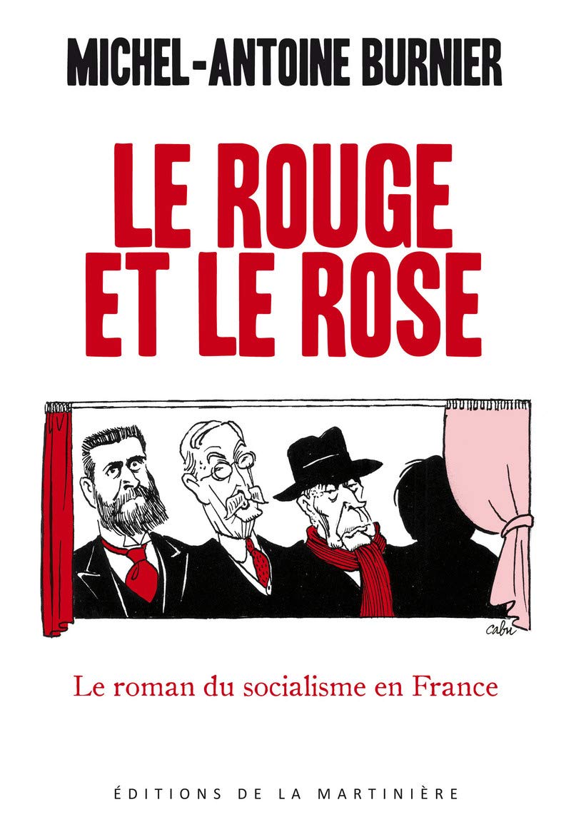 Le Rouge et le Rose: Le roman du socialisme en France 9782732445892