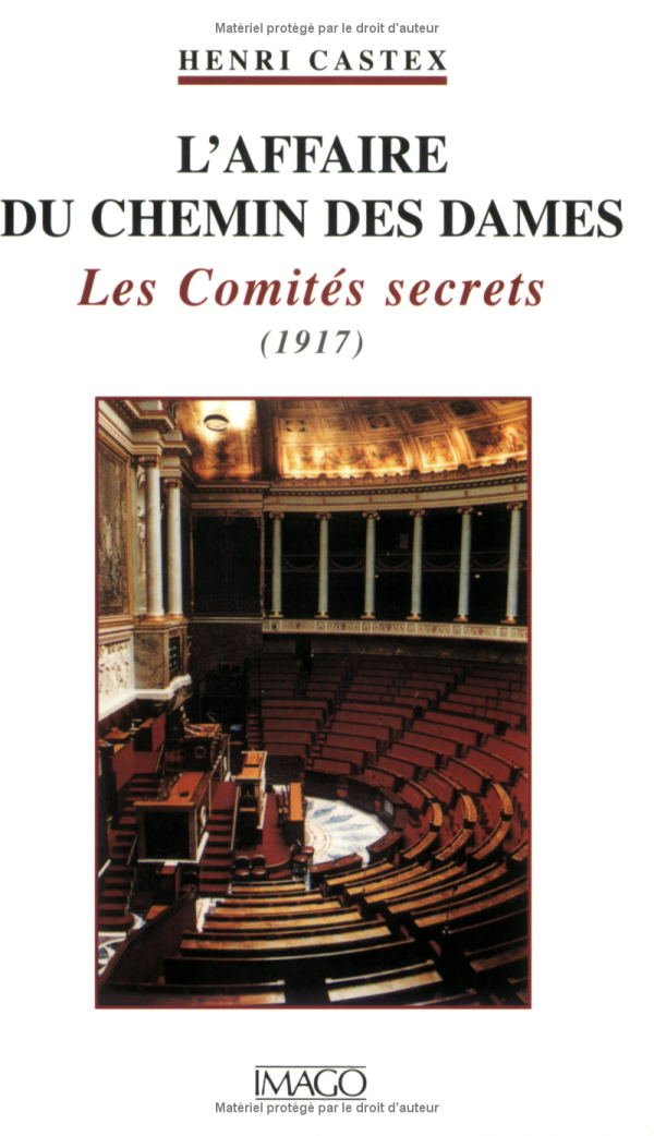 AFFAIRE DU CHEMIN DES DAMES (L') LES COMITES SECRETS (1917) 9782911416149