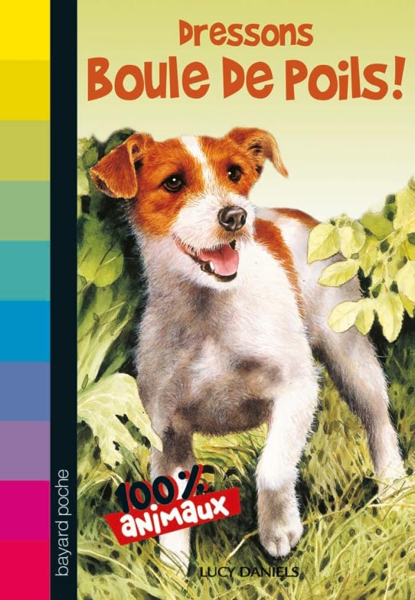 100% animaux, Tome 04: Dressons Boule de poils ! 9782747019033