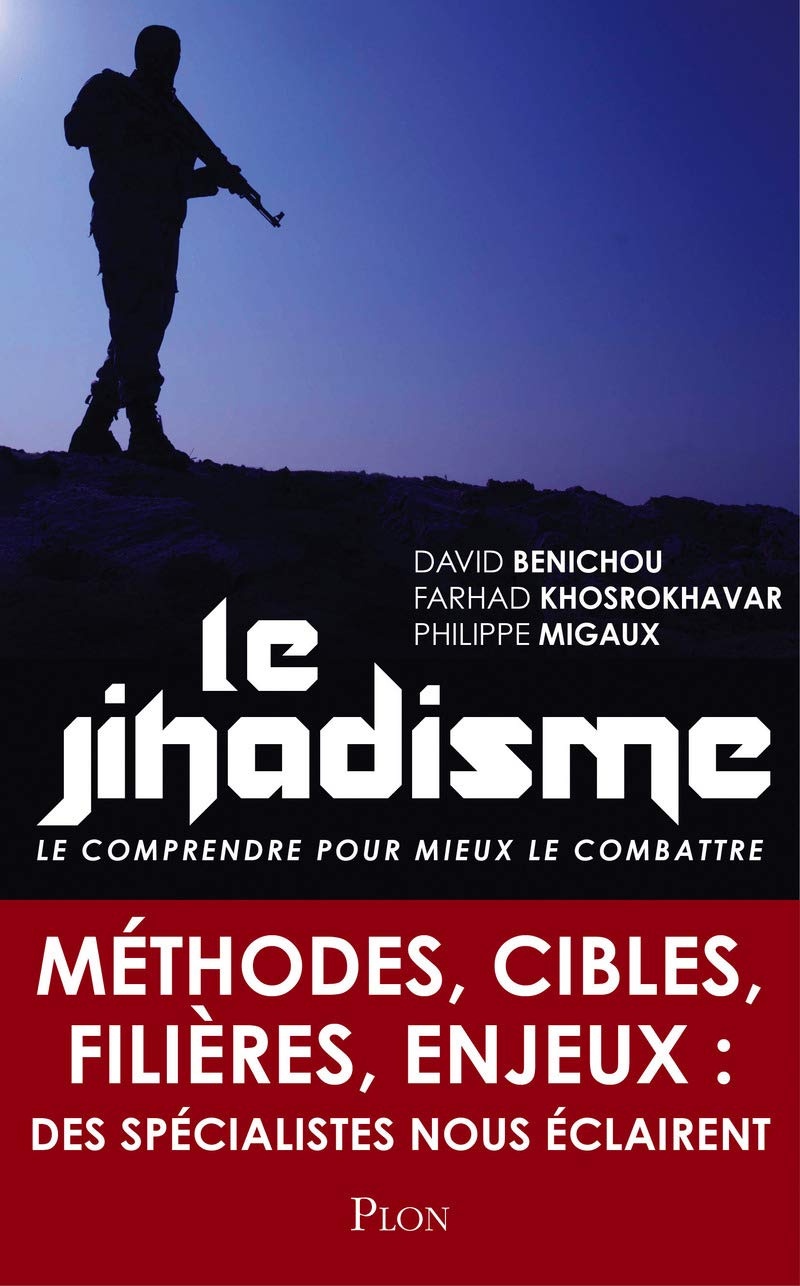 Le jihadisme: Le comprendre pour mieux le combattre 9782259228039