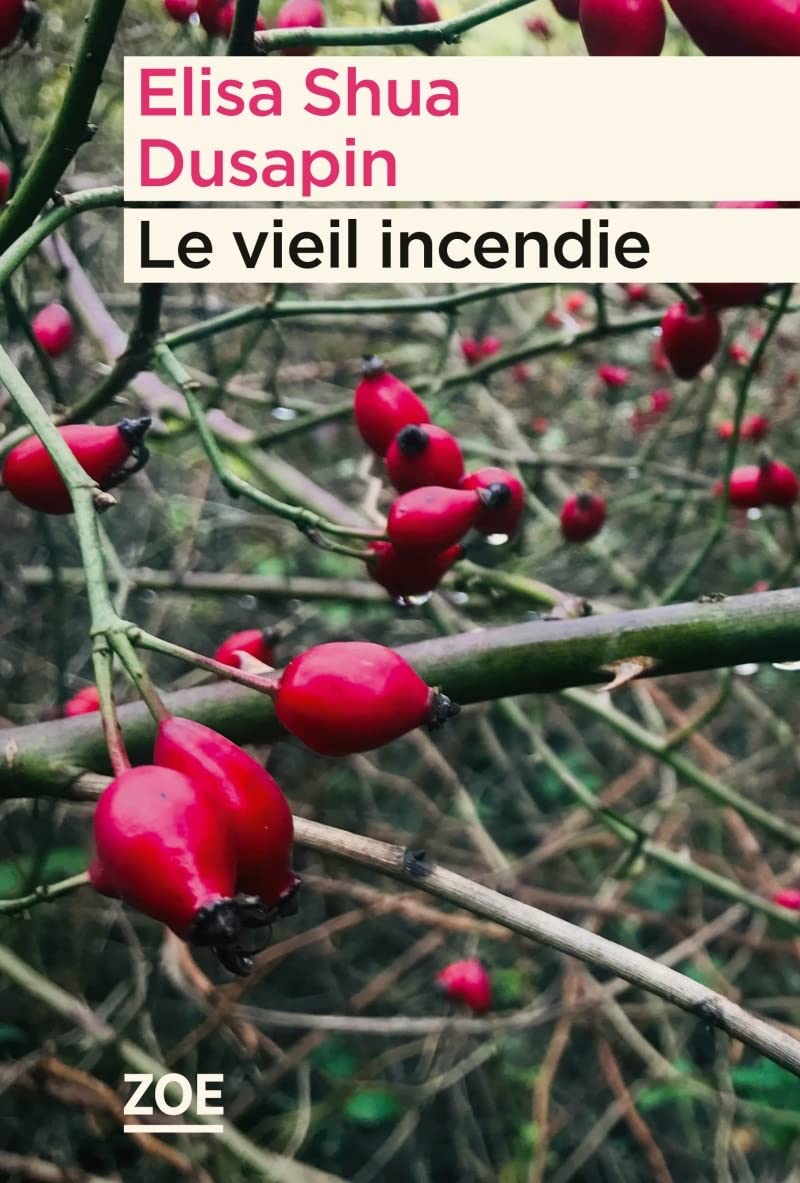 Le vieil incendie 9782889072460