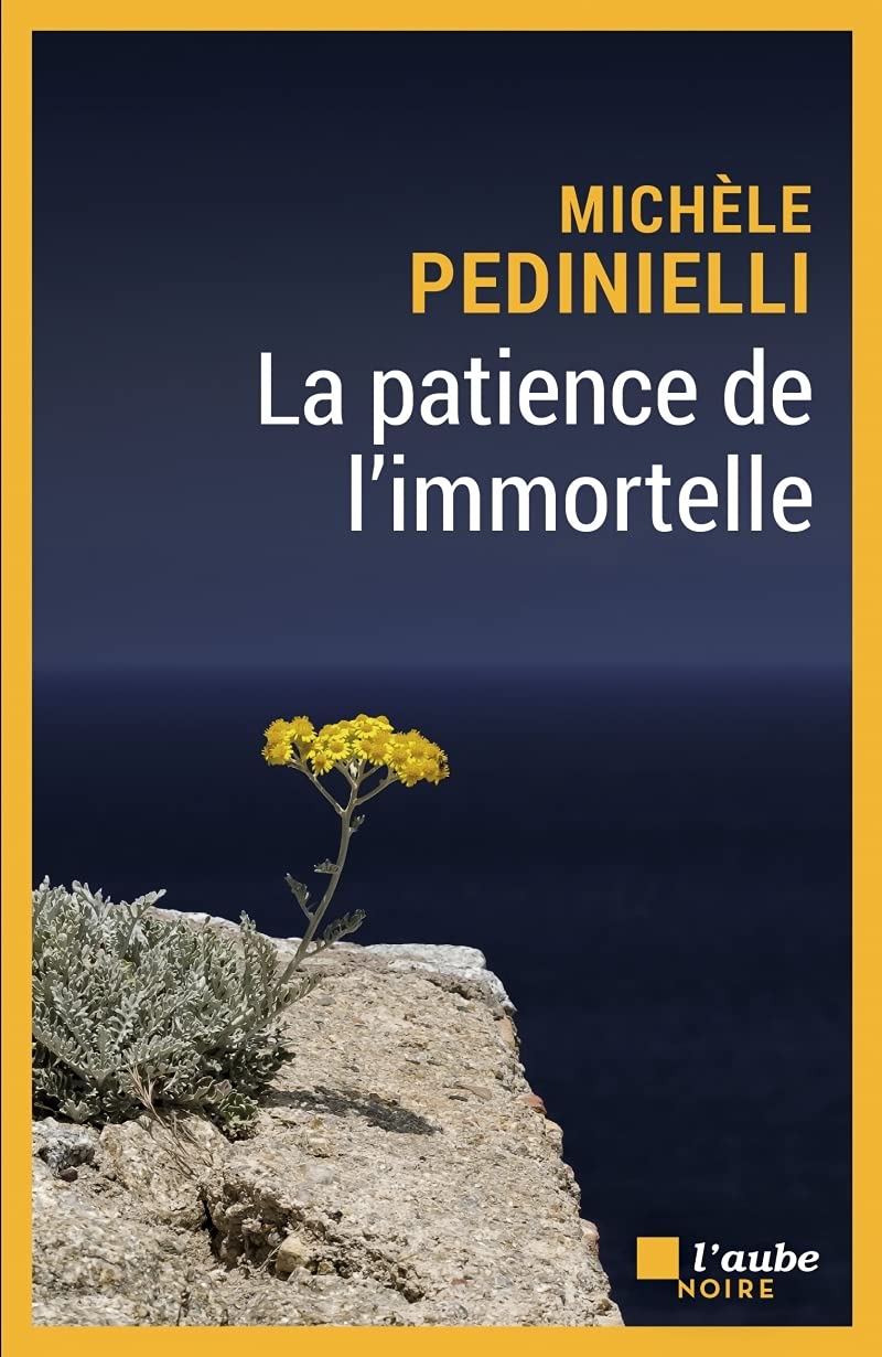 La patience de l'immortelle 9782815942218