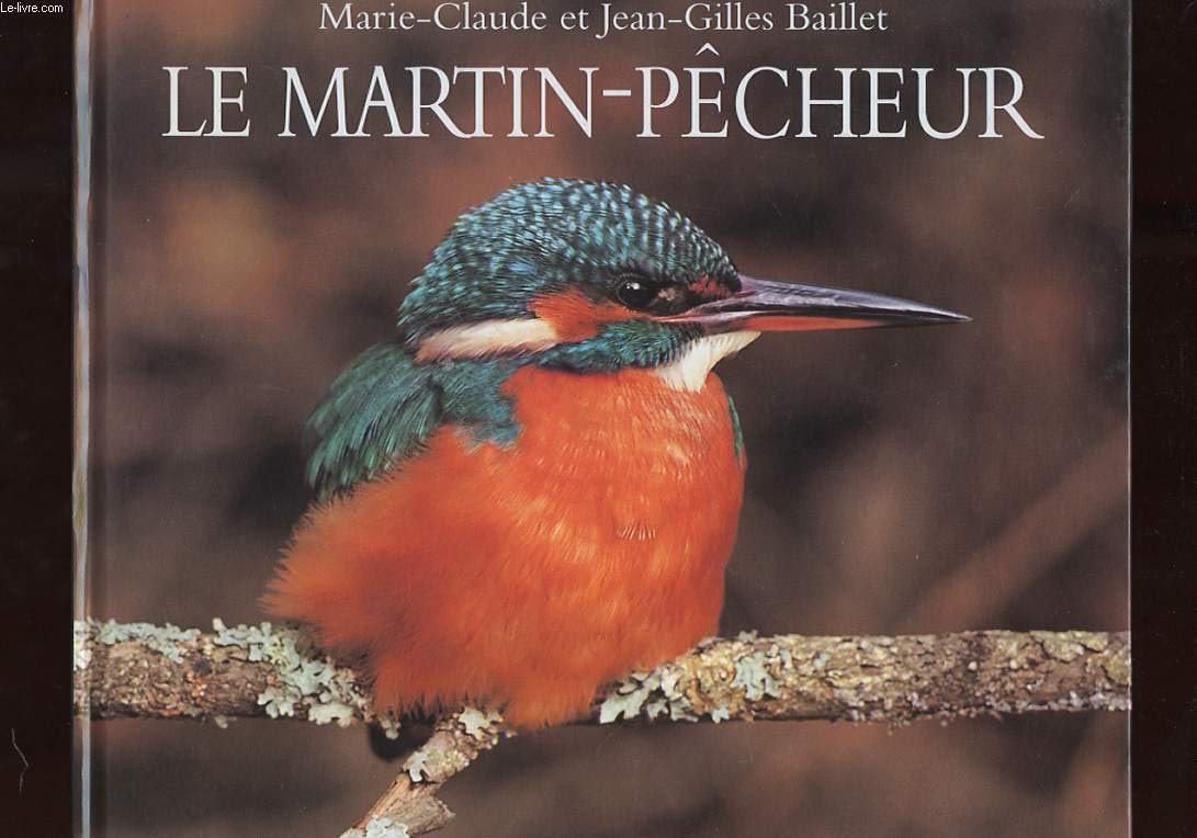 martin pecheur (le) 9782211022613