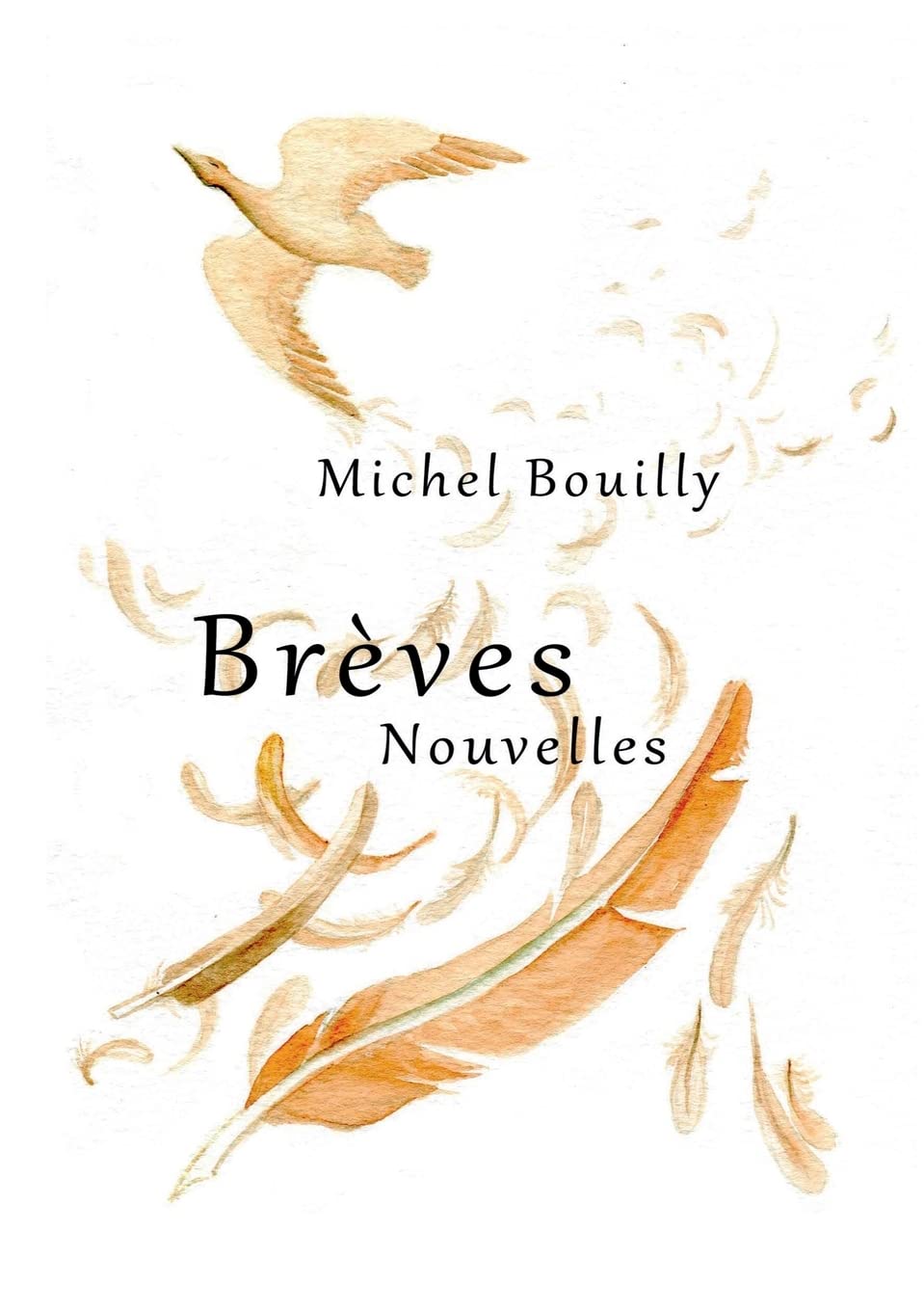 Brèves Nouvelles 9782322431212
