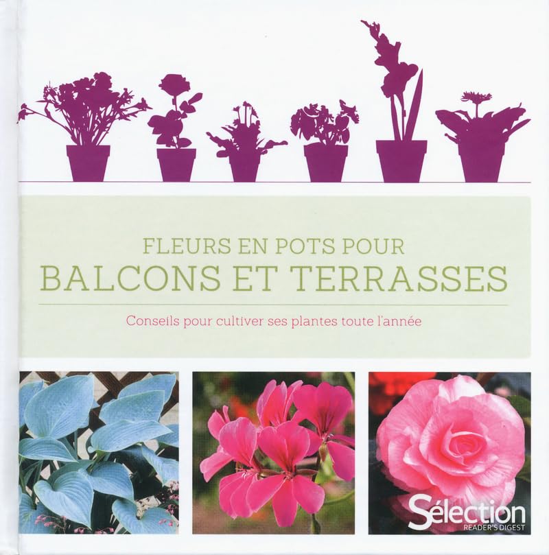 Fleurs en pots pour balcons et terrasses 9782709824071