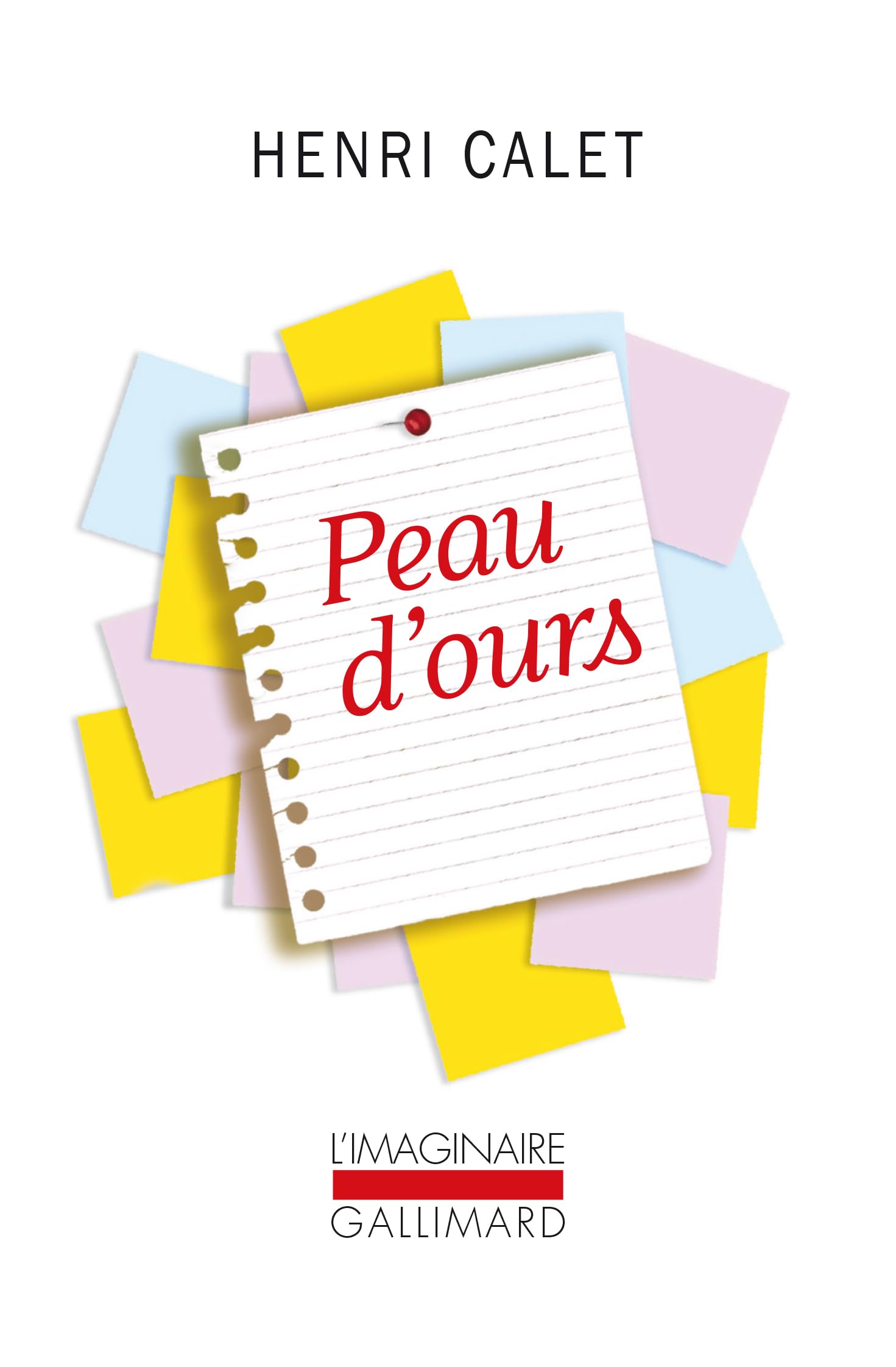 Peau d'ours: Notes pour un roman 9782070704538