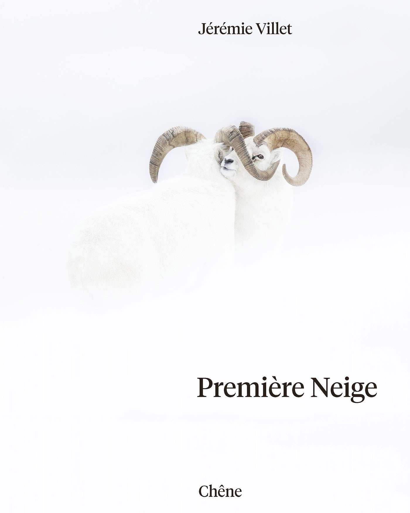Première neige 9782812320859