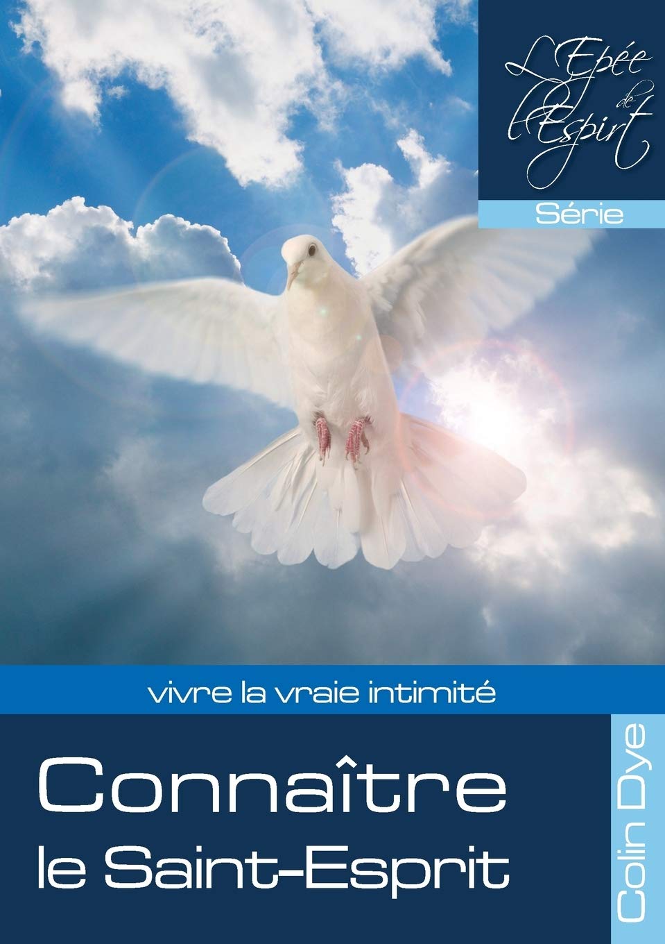 Connaître le Saint-Esprit 9781898444336