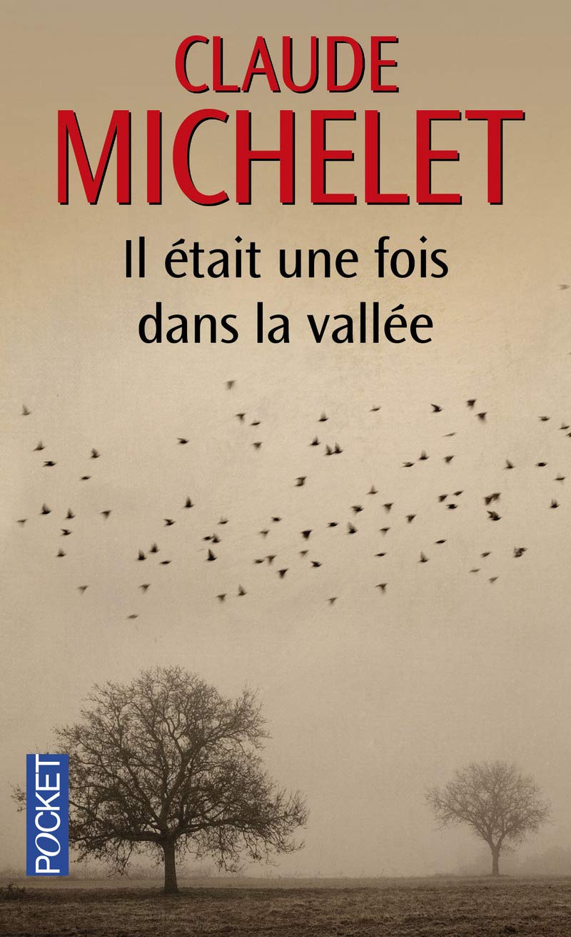 Il était une fois dans la vallée 9782266215572
