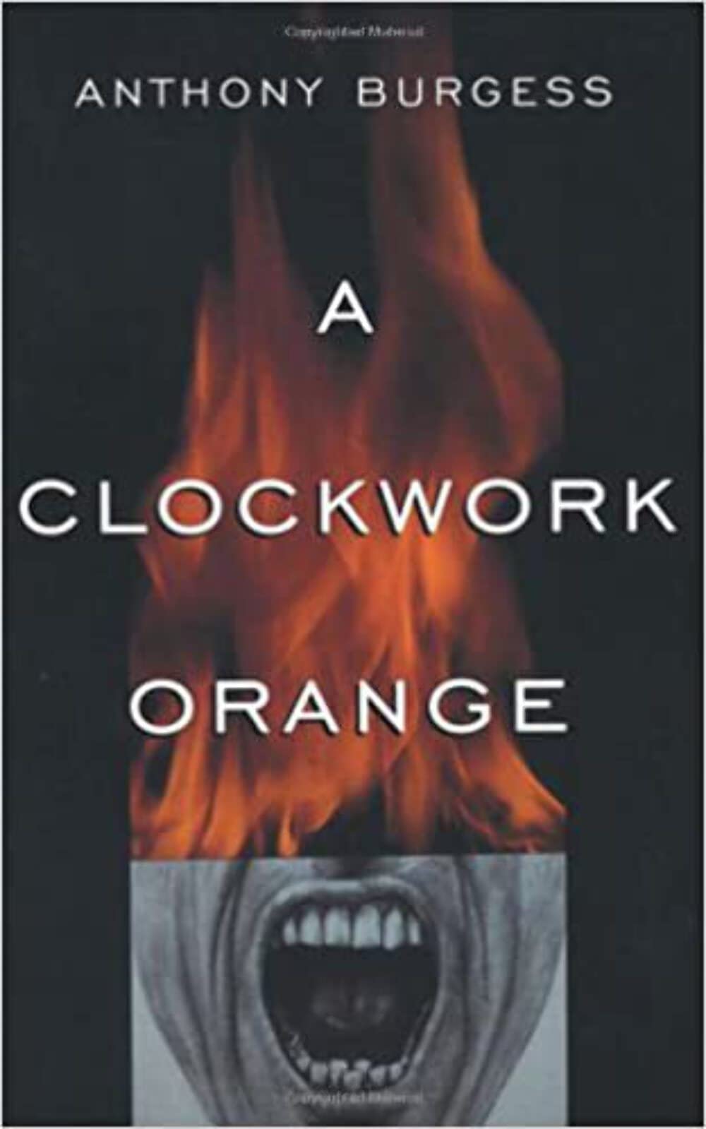 A Clockwork Orange 9780393312836